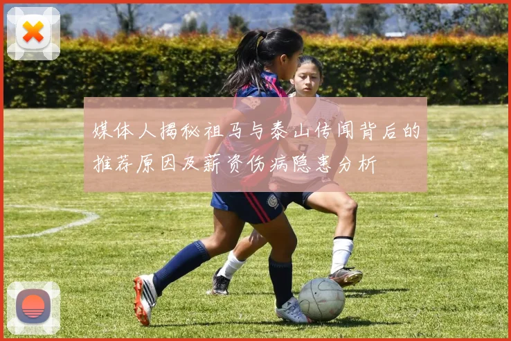 媒体人揭秘祖马与泰山传闻背后的推荐原因及薪资伤病隐患分析