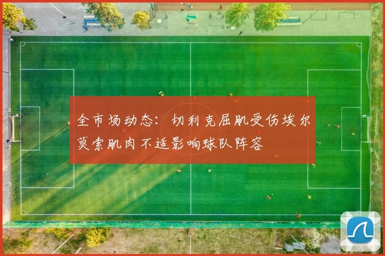 全市场动态：切利克屈肌受伤埃尔莫索肌肉不适影响球队阵容